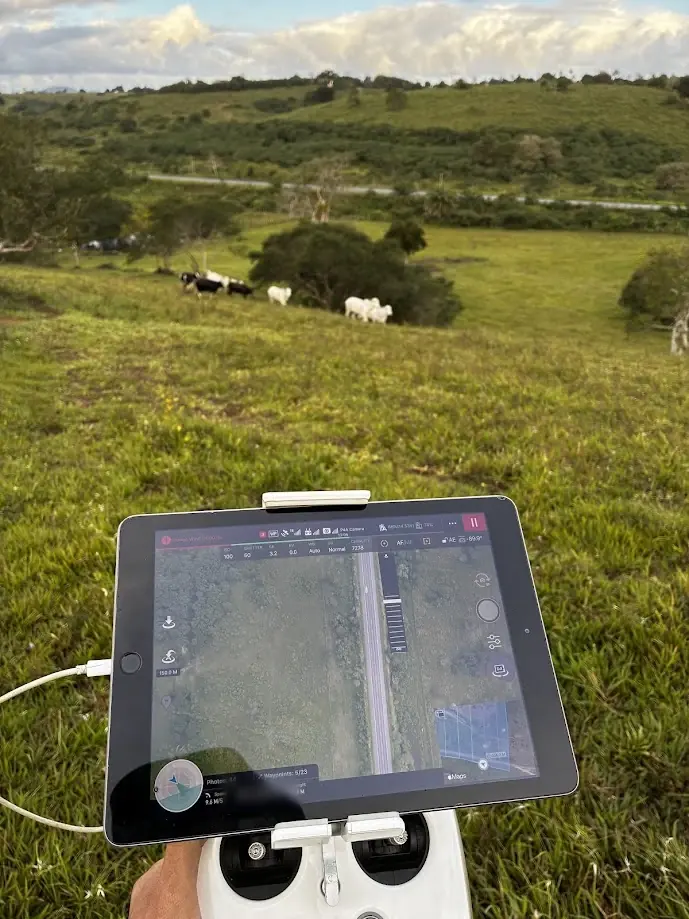 Tablet no controle do drone mostrando a imagem aérea durante o voo, com gado pastando ao fundo